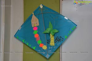 Designer Kites