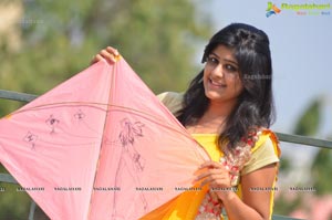 Designer Kites