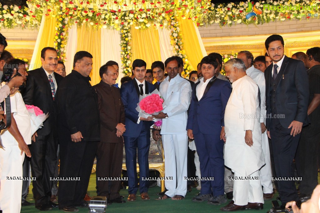 Wedding Reception of Grand Daughter of Mohammad Mahmood Ali (Deputy CM of Telangana) at Imperial Gardens, Hyderabad