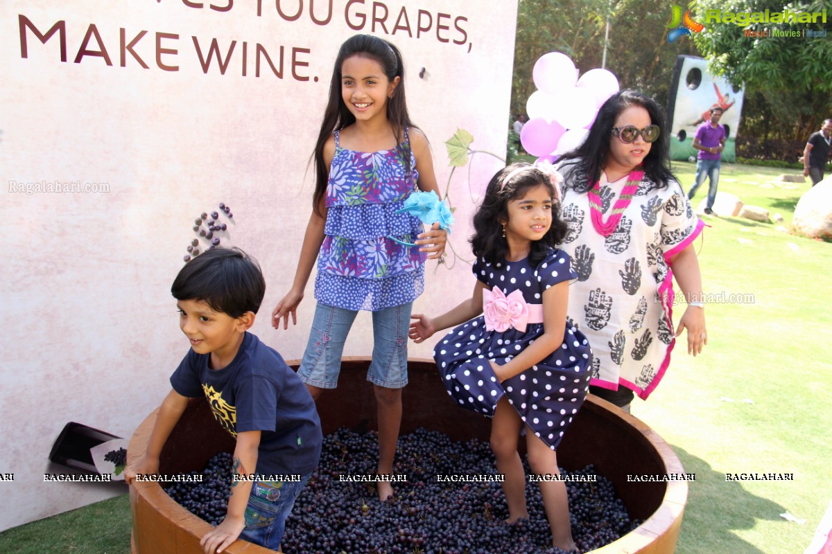 Grape Stomping at The Square, Novotel Hyderabad