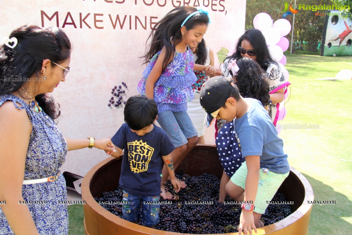 Grape Stomping at The Square, Novotel Hyderabad