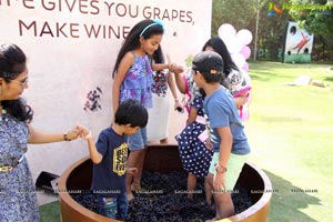 Grape Stomping Festival