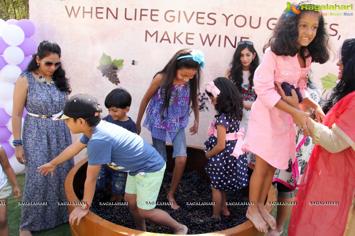 Grape Stomping at The Square, Novotel Hyderabad