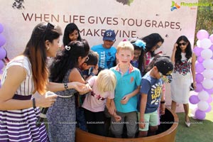 Grape Stomping Festival