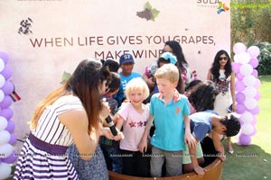 Grape Stomping Festival