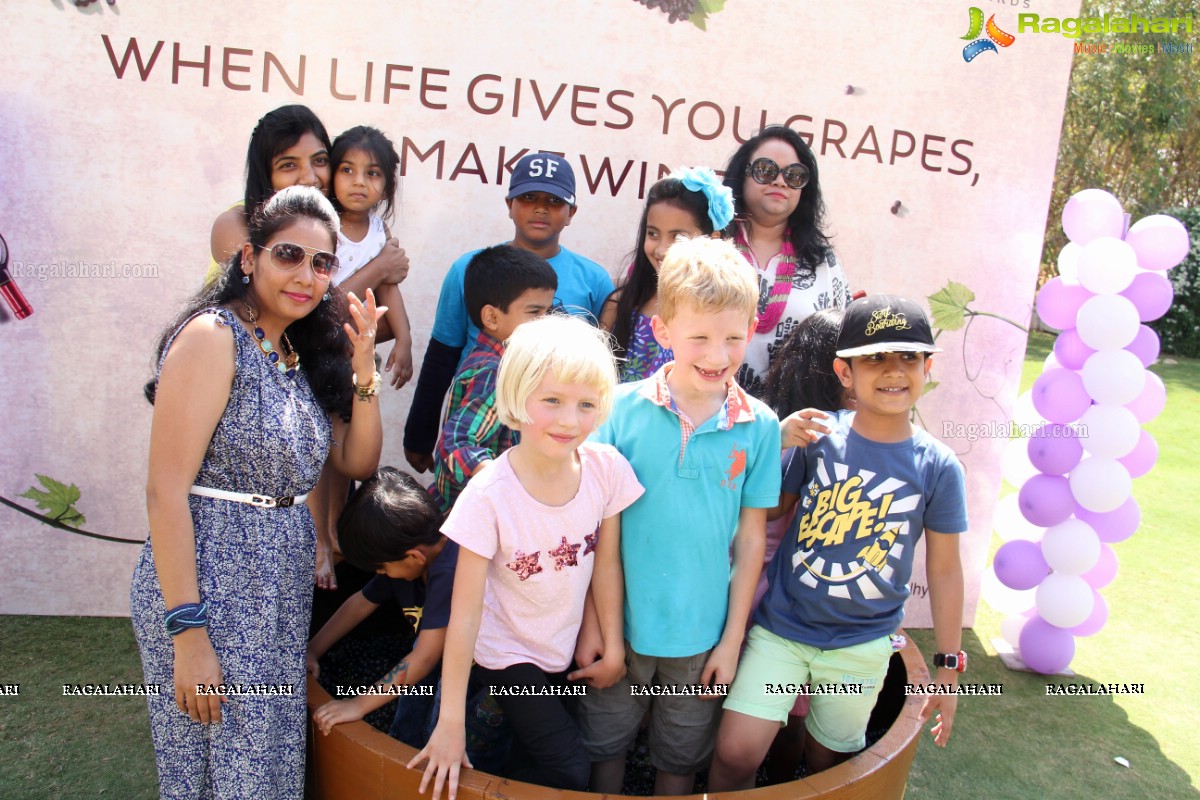 Grape Stomping at The Square, Novotel Hyderabad