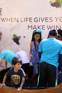 Grape Stomping Festival