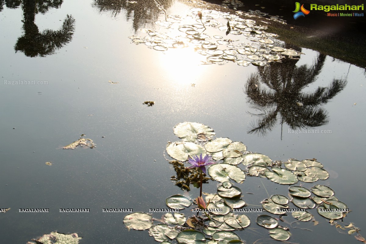 Save The Lake Event by St. Francis College For Women, Hyderabad