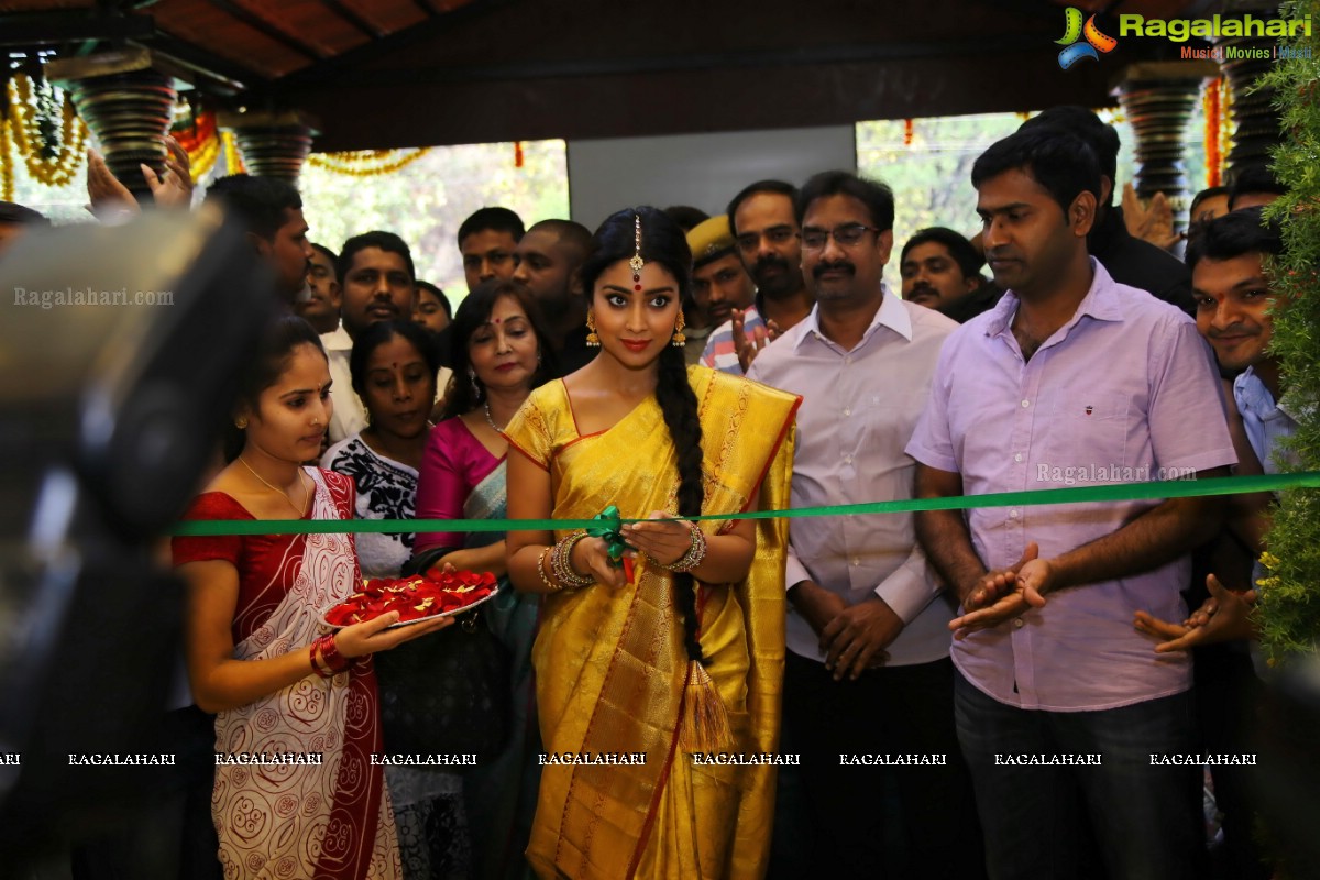 Shriya launches VRK Silks at Warangal