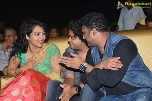 Nenu Local Audio Release