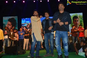 Nenu Local Audio Release