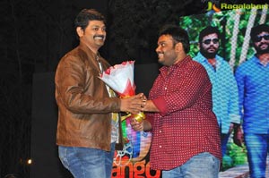 Gunturodu Audio Release