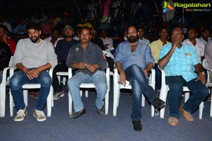 Mande Suryudu Audio Launch Photos