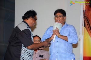 Mande Suryudu Audio Launch Photos