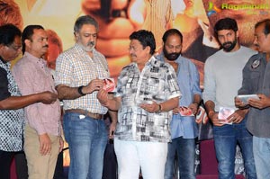 Mande Suryudu Audio Launch Photos