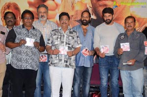 Mande Suryudu Audio Launch Photos
