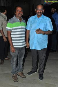 Srivalli Audio Launch Photos