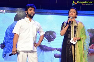 Srivalli Audio Launch Photos