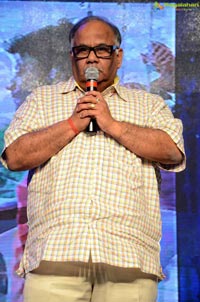 Srivalli Audio Launch Photos