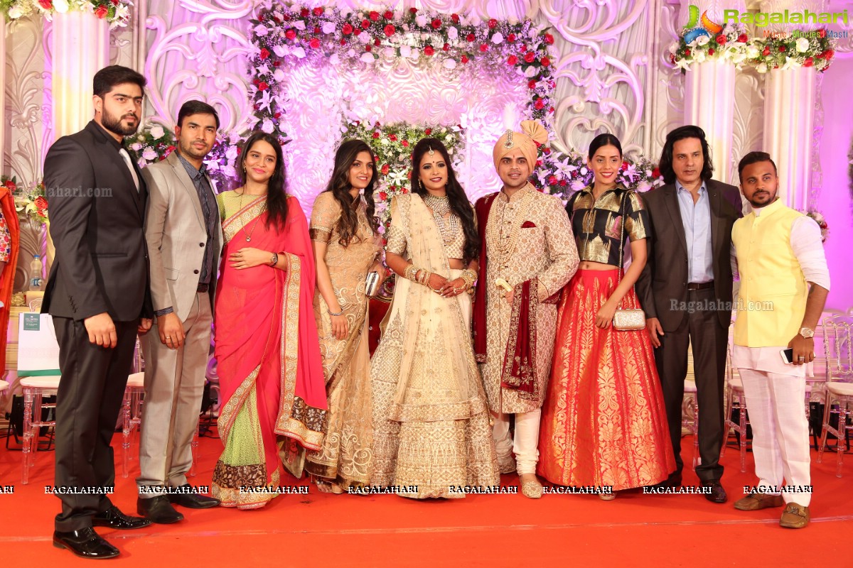 Ankush and Cindy Grand Wedding Reception Cermony at ITC Kakatiya