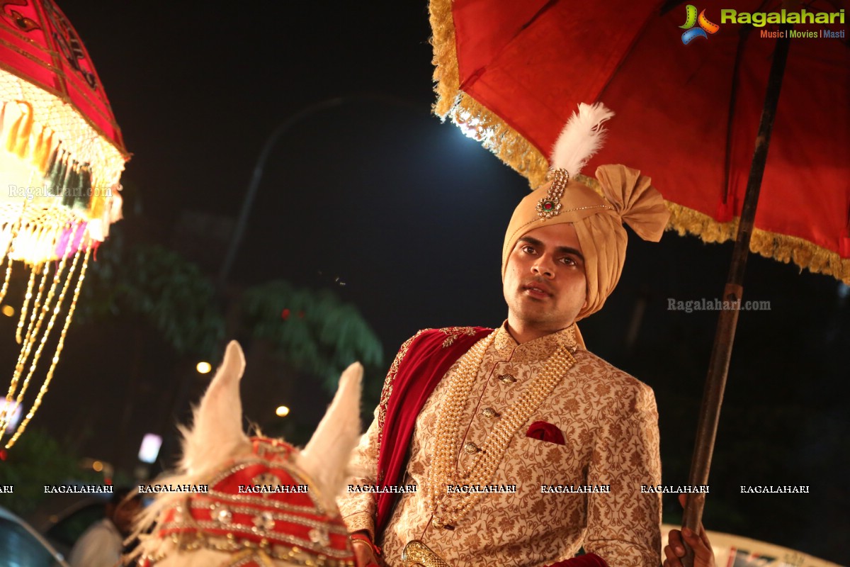 Ankush and Cindy Grand Wedding Reception Cermony at ITC Kakatiya