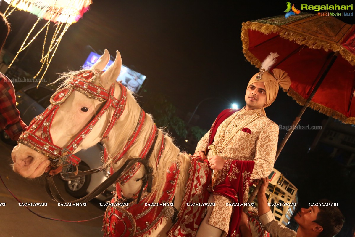 Ankush and Cindy Grand Wedding Reception Cermony at ITC Kakatiya