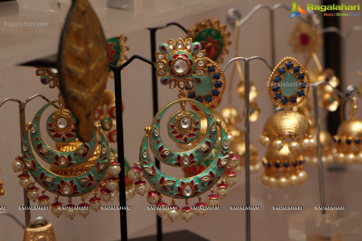 D'sire Exhibition at Taj Krishna