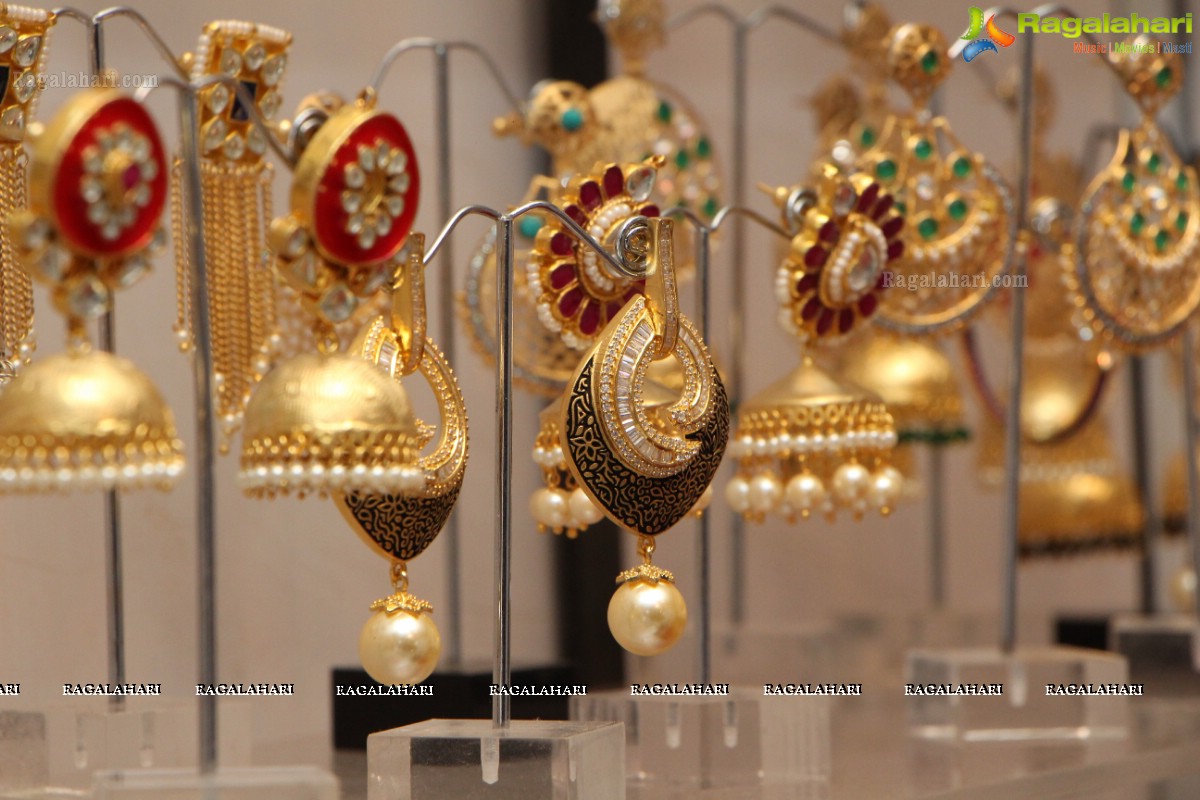 D'sire Exhibition at Taj Krishna