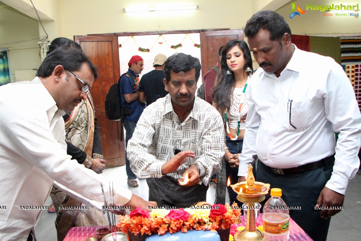 Pochampally IKAT Art Mela Launch by Deekshita Parvathi and Sailaja Reddy at YMCA Hall