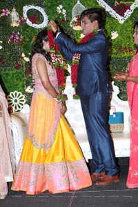 Kushal - Shivani Wedding Reception Photos