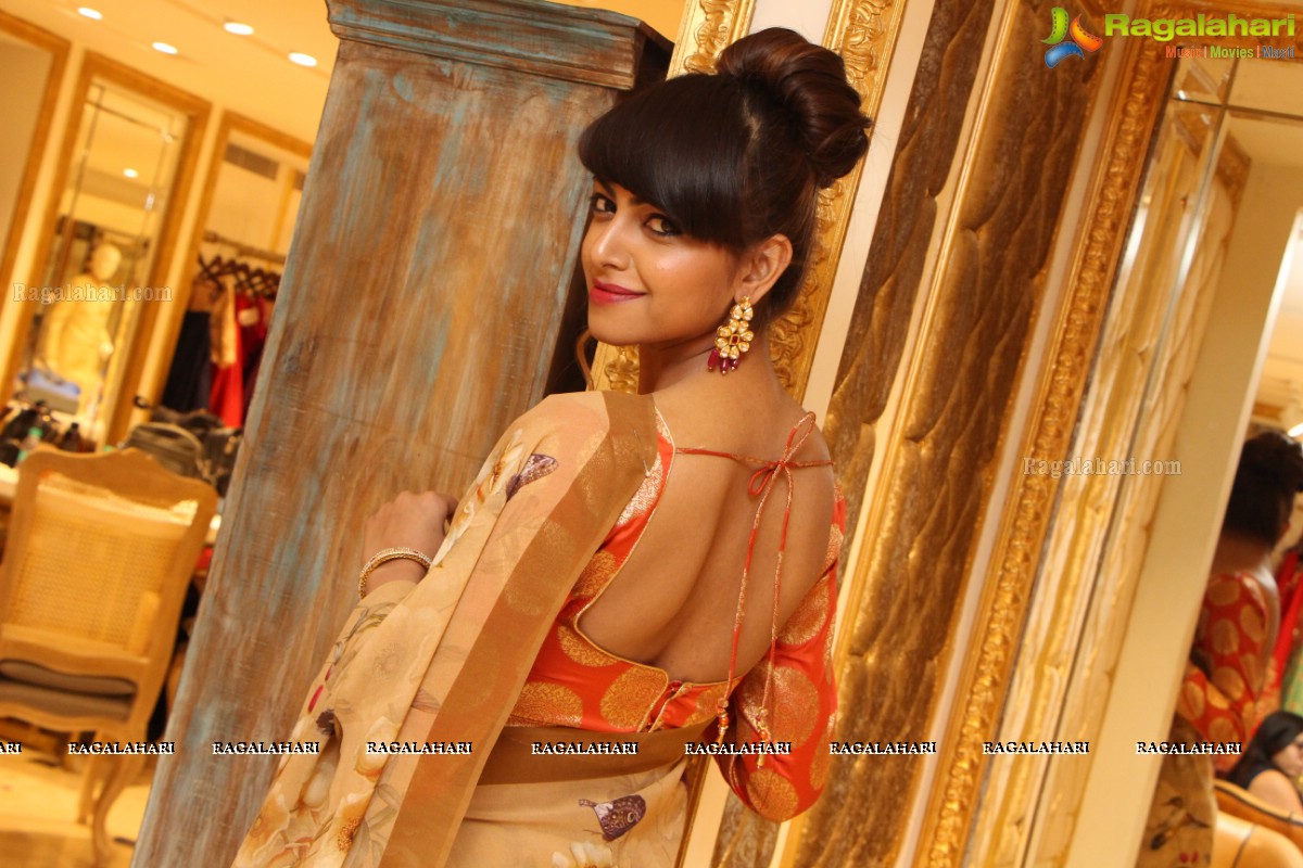 Nature Walks The Ramp - Grand Fashion Show by Neeru's at Neeru's Emporio, Banjara Hills, Hyderabad