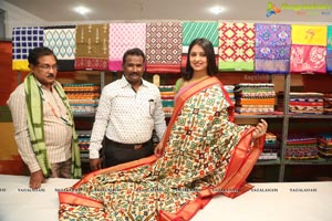 Pochampally IKAT art Mela @ Nizampet