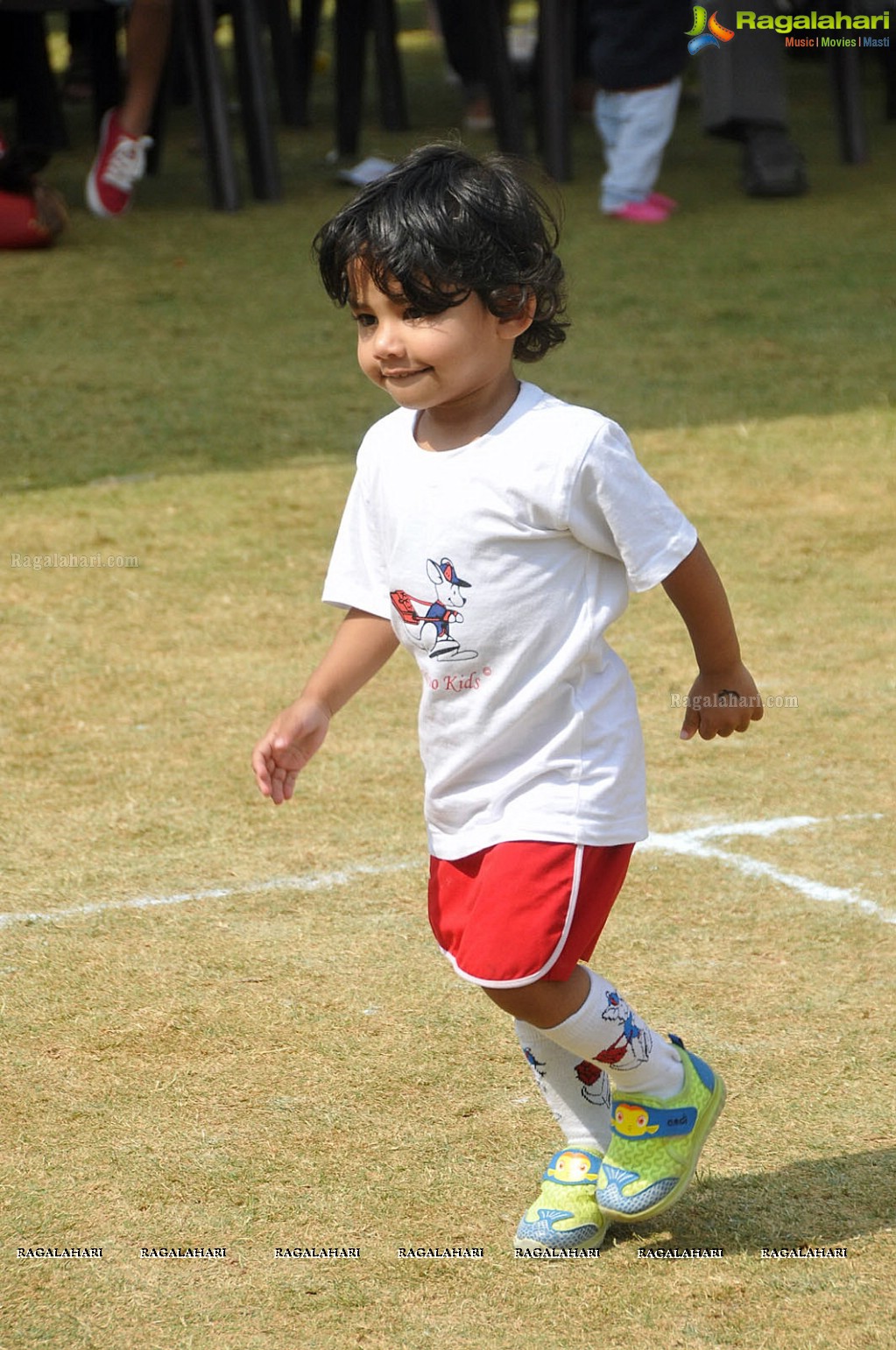 Sports Fiesta 2017 at Kangaroo Kids Pre-School, Shaikpet, Hyderabad