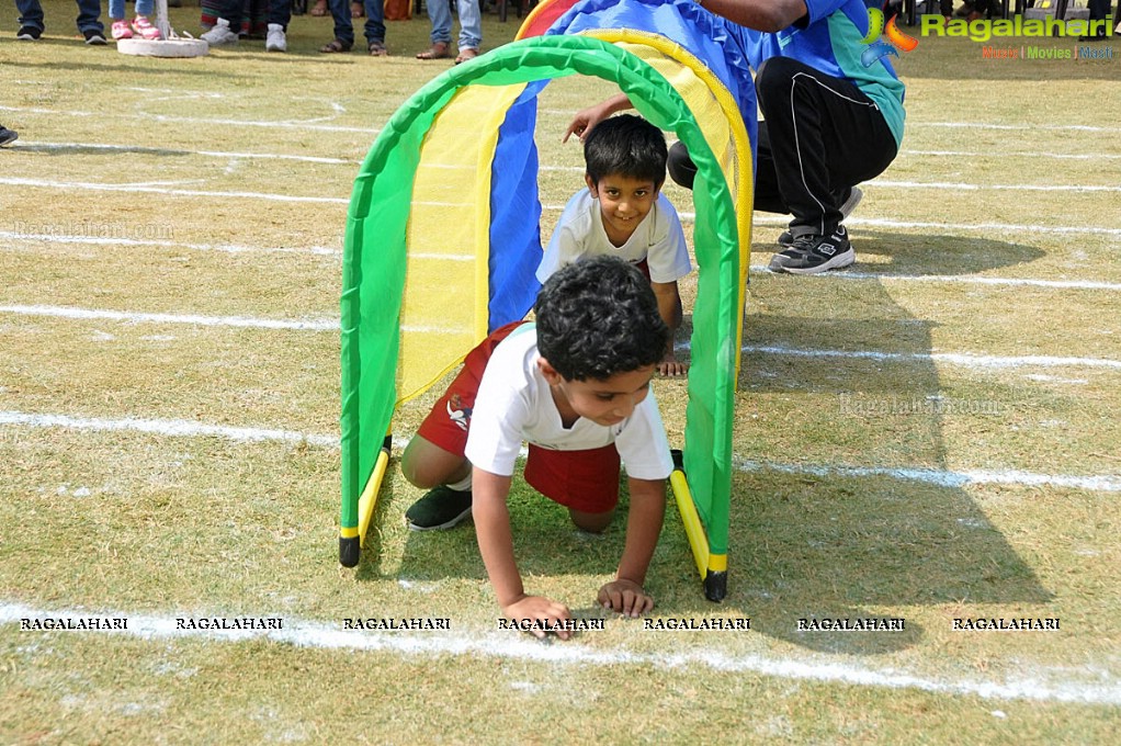 Sports Fiesta 2017 at Kangaroo Kids Pre-School, Shaikpet, Hyderabad