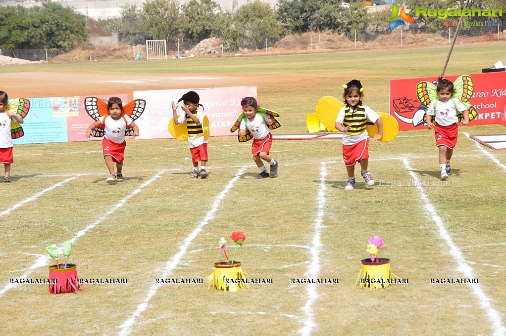 Sports Fiesta 2017 at Kangaroo Kids Pre-School, Shaikpet, Hyderabad