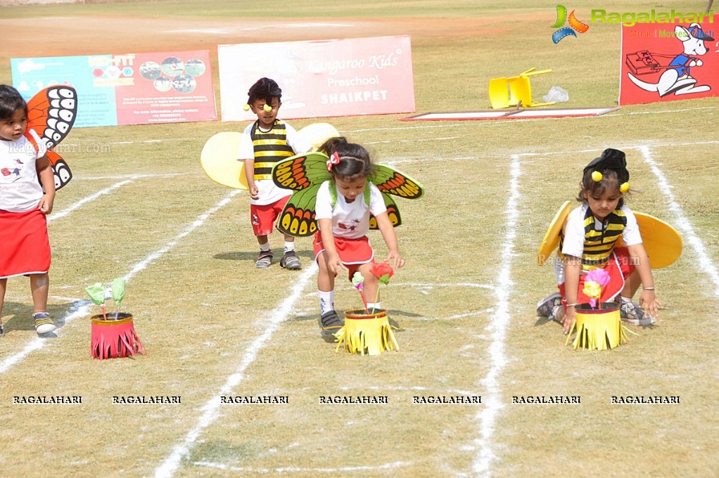 Sports Fiesta 2017 at Kangaroo Kids Pre-School, Shaikpet, Hyderabad