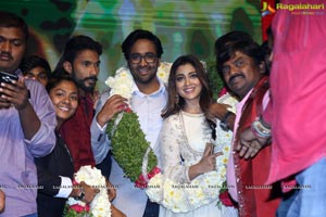 Gayatri Audio Release