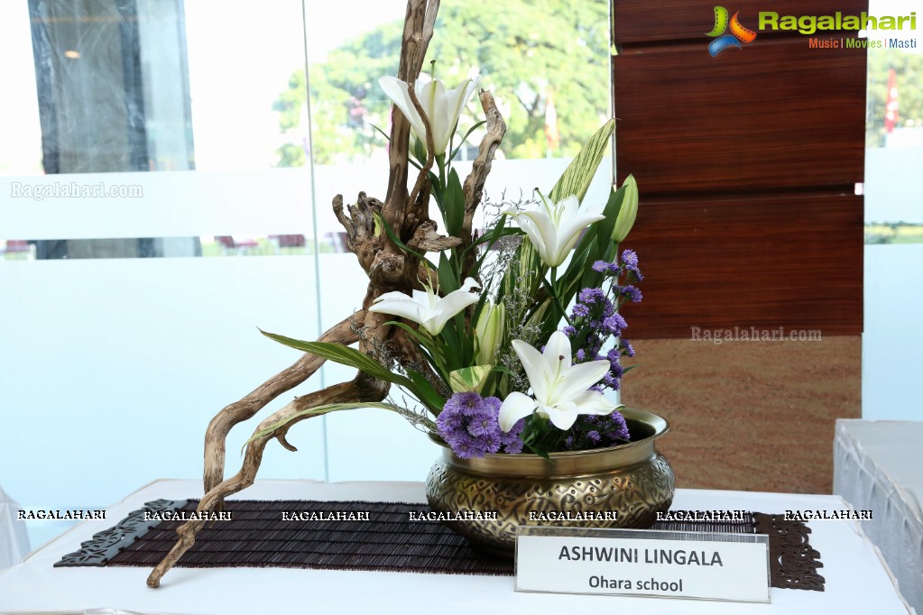 Ikebana Exhibiton at Gandhi Centenary Hall, Nampally