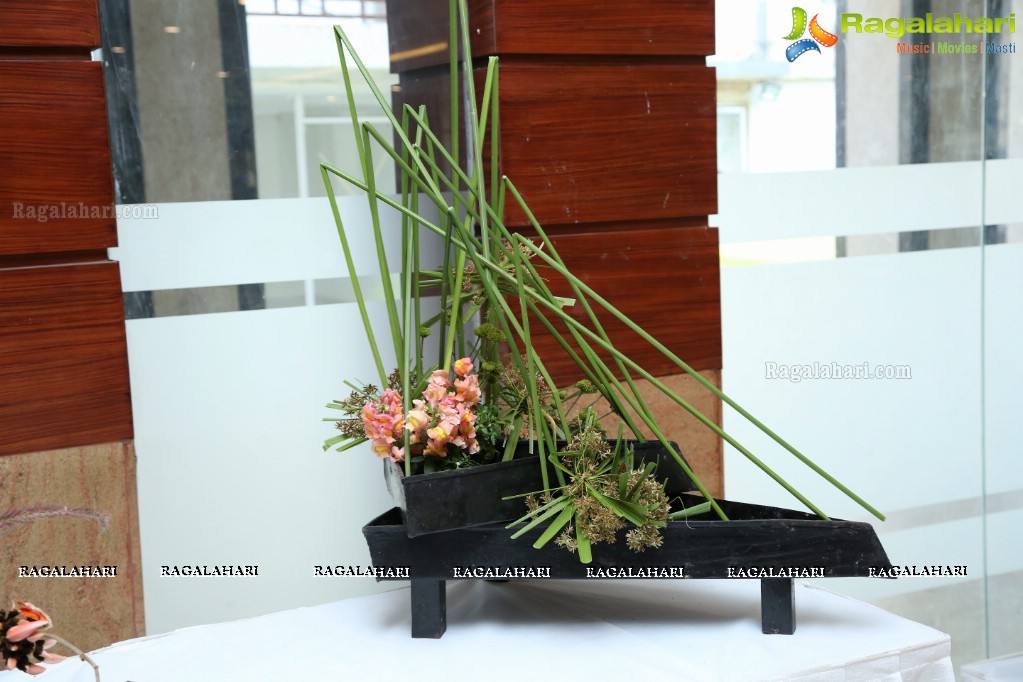 Ikebana Exhibiton at Gandhi Centenary Hall, Nampally