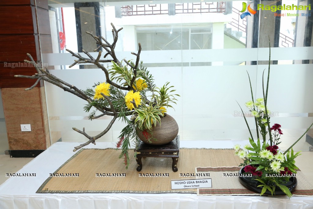 Ikebana Exhibiton at Gandhi Centenary Hall, Nampally