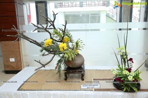 Ikebana Exhibiton