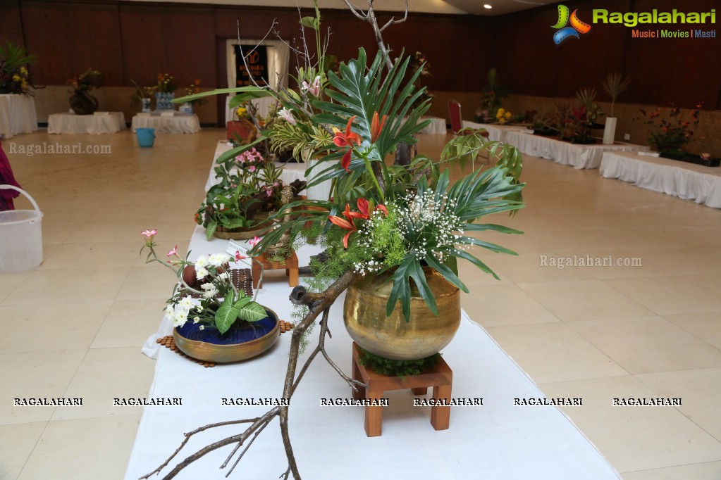 Ikebana Exhibiton at Gandhi Centenary Hall, Nampally