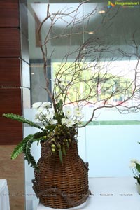 Ikebana Exhibiton