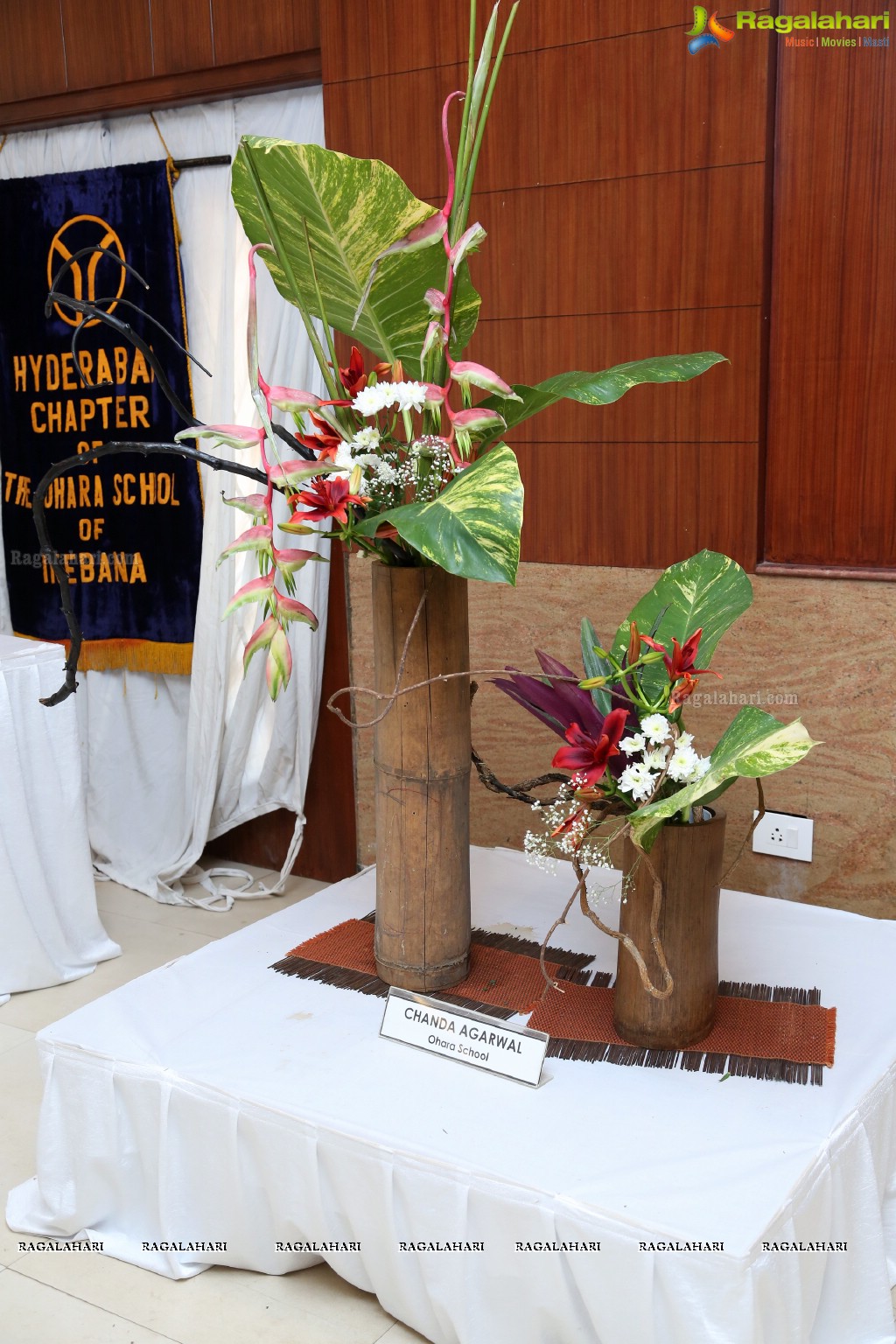 Ikebana Exhibiton at Gandhi Centenary Hall, Nampally