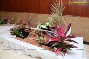 Ikebana Exhibiton