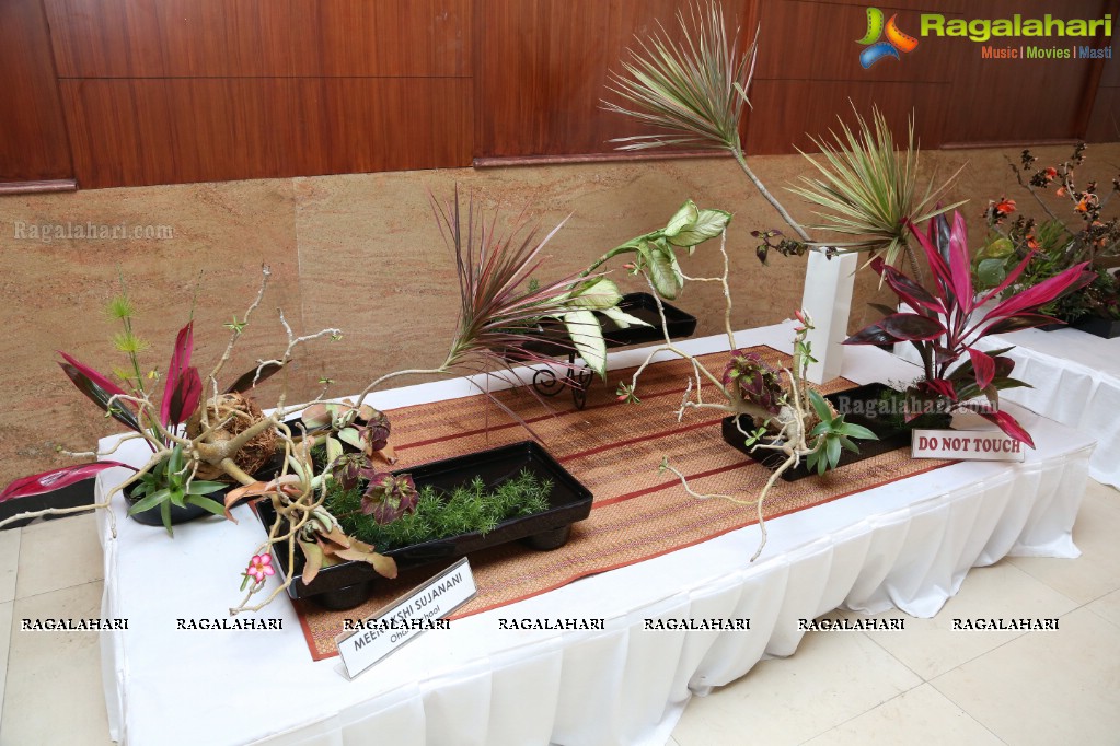 Ikebana Exhibiton at Gandhi Centenary Hall, Nampally