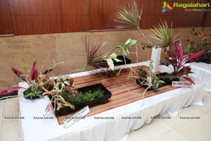 Ikebana Exhibiton