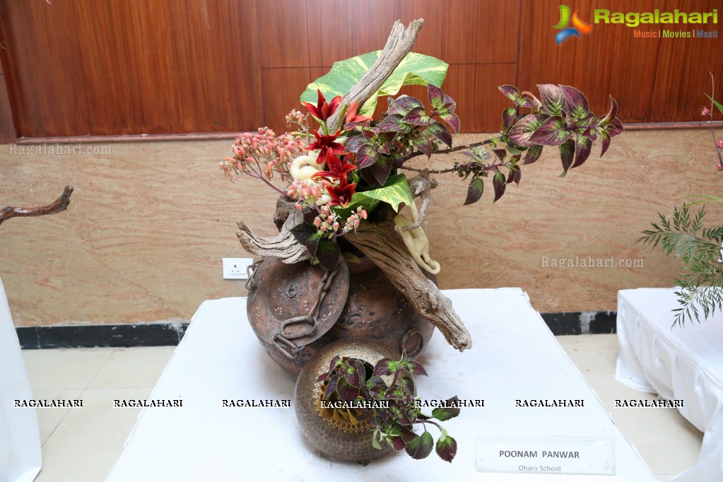 Ikebana Exhibiton at Gandhi Centenary Hall, Nampally