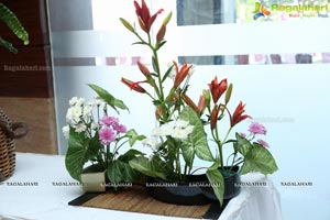 Ikebana Exhibiton