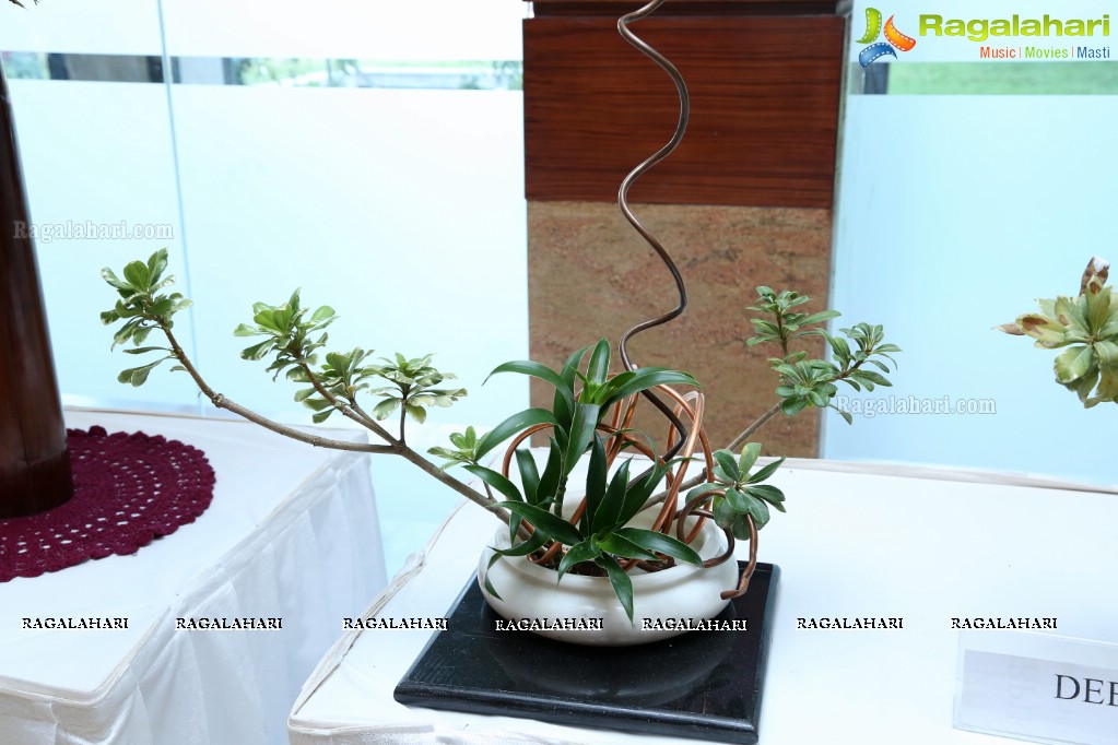 Ikebana Exhibiton at Gandhi Centenary Hall, Nampally